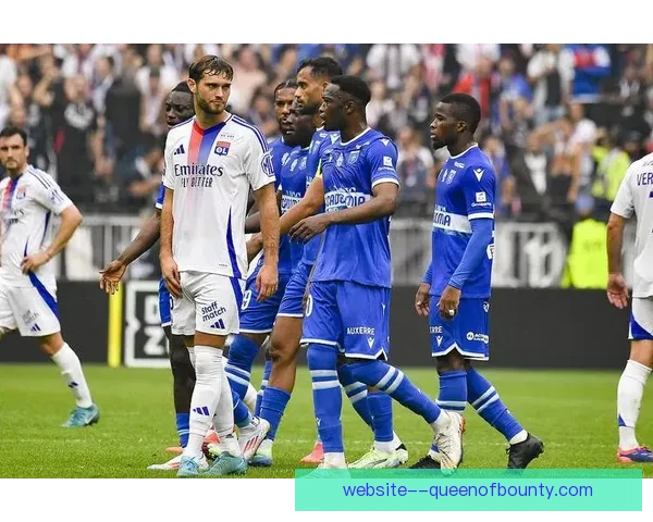 2025夏季转会里昂引进意甲后腰提升中场防守实力